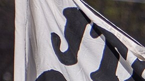 Indígenas exigen al presidente de México alto a violencia del narco en estado de Chiapas