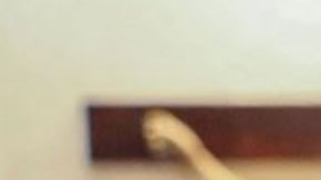 Nicaragua expulsa al obispo Rolando Álvarez y a 15 sacerdotes y van al Vaticano