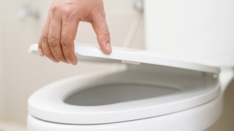 Cerrar la tapa del inodoro antes de tirar la cadena previene la contaminación viral: estudio