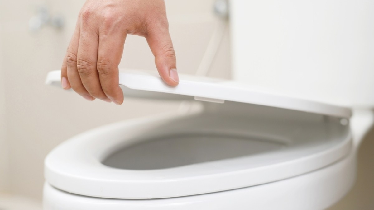 Ácido cítrico en polvo: el mejor remedio contra el sarro en los inodoros según la IA