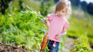 Hacer jardinería puede beneficiar los hábitos alimenticios de los niños: investigación