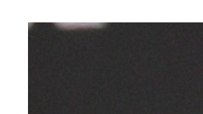 Kieran Culkin y Alexander Skarsgard