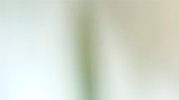 Leonardo DiCaprio se encuentra inmerso en un nuevo proyecto cinematográfico bajo la dirección de Paul Thomas Anderson.