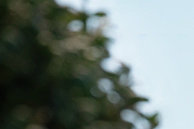 Jaquel Spivey es Damian, Angourie Rice es Cady y Auli'i Cravalho es Janis en Mean Girls.