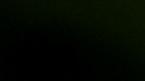 moscas significado espiritual