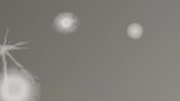 numerología nacimiento