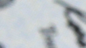 SSI tendrá "doble pago" en noviembre. Conoce los detalles.