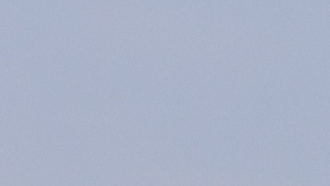 Aterrizaje forzoso de un vuelo de American Airlines en Maui deja a seis personas con heridas leves