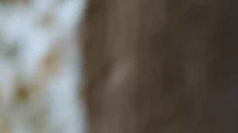 Alcalde de una ciudad de Carolina del Sur falleció en un accidente automovilístico