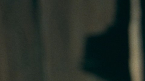 Jason Statham está como pez en el agua en el papel de violento justiciero en The Beekeeper.