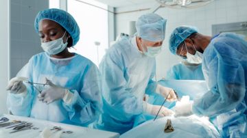 Trasplantes de órganos de animales a humanos: qué dicen los científicos sobre este avance