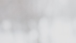 Nuevo estudio revela cuál es el estado con más Trastorno Afectivo Estacional en EE. UU.