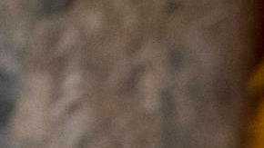 Biden respalda acuerdo bipartidista de seguridad nacional y migración: "Estoy listo para asegurar la frontera"