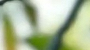 Desde que contrajo matrimonio con Matías Novoa en diciembre de 2023, los rumores sobre un posible embarazo no se hicieron esperar.