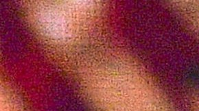 Adal Ramones | Foto: Mezcalent