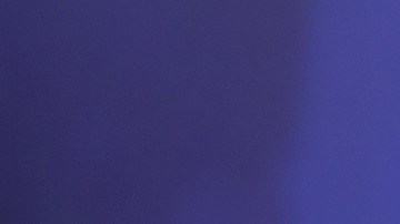 La pareja de "La Casa de los Famosos" muestró su amor tras meses de especulaciones.