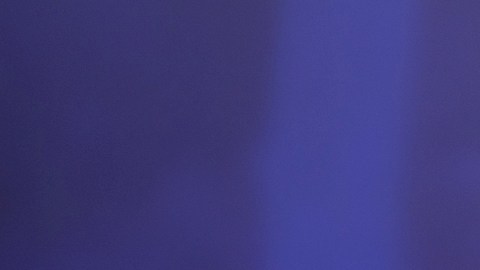 La pareja de "La Casa de los Famosos" muestró su amor tras meses de especulaciones.