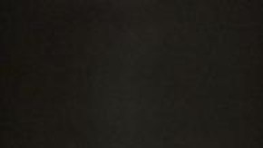 El presidente de Rusia Vladimir Putin.