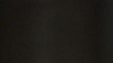 El presidente de Rusia Vladimir Putin.