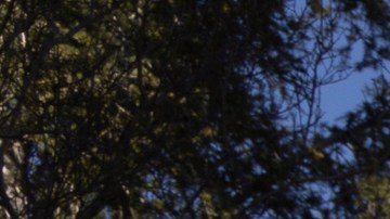 Patrick Mahomes | Foto: Christian Thompson/Disneyland Resort