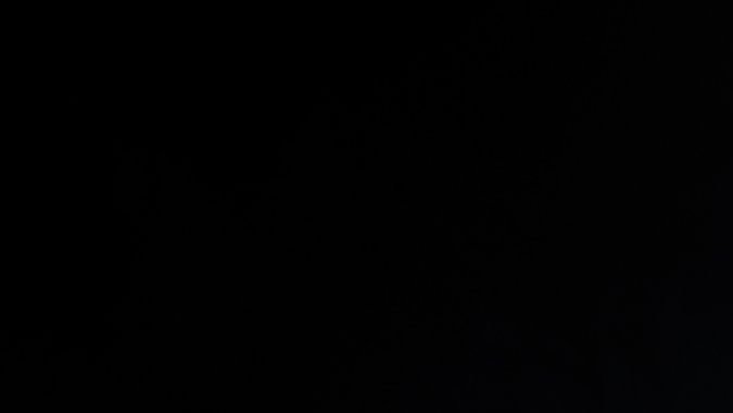 La escudería competirá con el W15 en la F1. Crédito Fotográfico: Formula 1