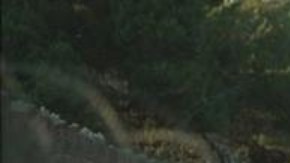 La ciudad israelí de Metula está rodeada de verjas con alambre de espino y cámaras.