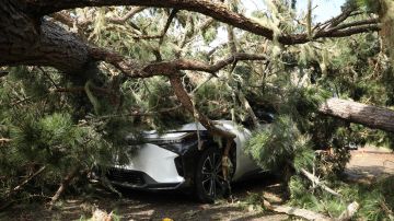 Pebble Beach (United States), 04/02/2024.- A tree crushed a car during what should have been the final round of the AT&T Pebble Beach Pro-Am golf tournament at the Pebble Beach Golf Links in Pebble Beach, California, USA, 04 February 2024. Due to safety concerns caused by high winds and rain, the final round was postponed with hopes of rescheduling on 05 February. EFE/EPA/MICHAEL FIALA