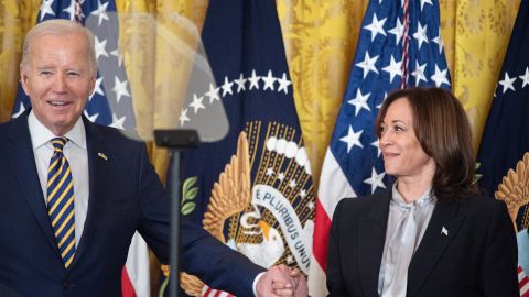 Joe Biden y Kamala Harris no enfrentan rivales de peso del Partido Demócrata en las elecciones.