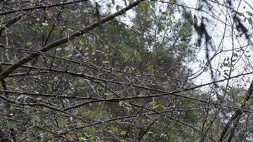 Beverly Hills (United States), 05/02/2024.- A vehicle is buried in a collapsed garage and house that moved off its'Äô foundation down a hill as a powerful atmospheric river storm hits Southern California in Beverly Hills, California USA, 05 February 2024. Los Angeles Mayor Karen Bass declared a state of emergency in the area as flooding and mudslides overwhelmed California. (tormenta) EFE/EPA/ALLISON DINNER