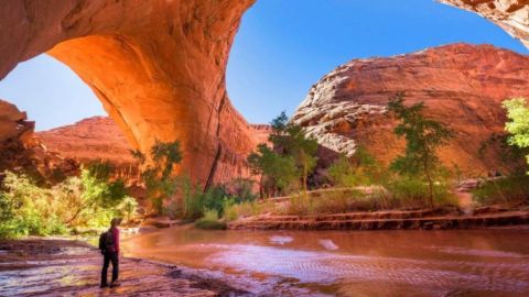 Este lugar tiene una temperatura extrema de 40°C, que solo se ve aliviada por la sombra del cañón.