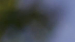 La congresista Katie Porter en campaña por el Senado. (Cortesía Katie Porter)