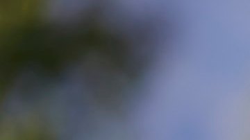 La congresista Katie Porter en campaña por el Senado. (Cortesía Katie Porter)