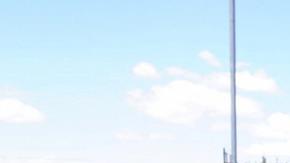 Los sospechosos fueron capturados en una zona selvática de Bolivia.