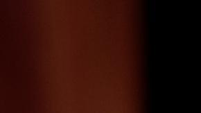 Boris Nadezhdin, el único aspirante presidencial auténticamente opositor a Putin.