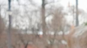 Rusia: 401 personas detenidas para homenajear a Navalni