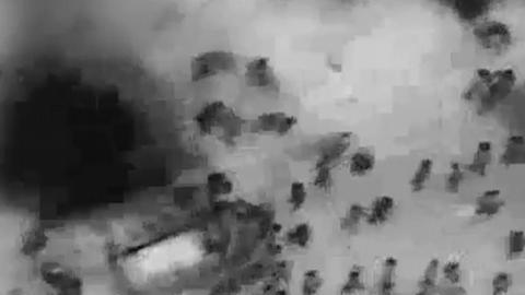 68408337_606