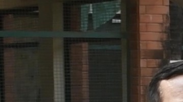 India libera a paloma