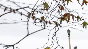 Los Angeles (United States), 06/02/2024.- A man looks at the Los Angeles river overflowing as a storm sweeps through Southern California bringing torrential rains and high winds in Los Angeles, California, 06 February 2024. (tormenta) EFE/EPA/ETIENNE LAURENT