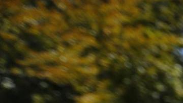 Revelan cuáles fueron las últimas palabras del expresidente Sebastián Piñera antes de morir