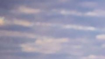 La "impresionante y conmovedora" foto de un oso somnoliento que se ganó el concurso de fotografía natural del Museo de Historia Natural de Londres