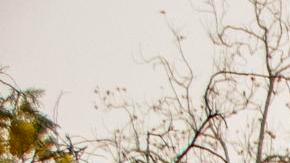 Santa Barbara (United States), 05/02/2024.- A tree blocks the Coast Village Rd onramp during an atmospheric river weather event in Santa Barbara, California USA, 04 February 2024. The Weather Prediction Center has issued a rare Level 4 of 4 risk of excessive rainfall for the Santa Barbara area, with the storm also triggering flood watches for nearly 40 million people in the state of California. (tormenta) EFE/EPA/ERICK MADRID