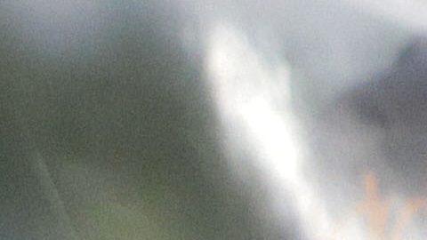 Julio César Chávez