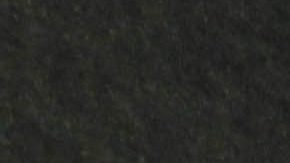 Julio César Chávez