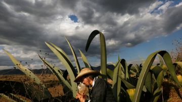 El lado avaricioso del T-MEC cobra el éxito a los mexicanos con agua, desertificación y violencia