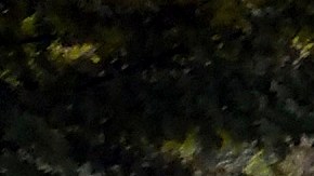 El programa DACA ha enfrentado varios desafíos jurídicos.