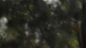 El Gobierno federal ha enfrentado críticas sobre el manejo de la frontera.