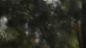 El Gobierno federal ha enfrentado críticas sobre el manejo de la frontera.