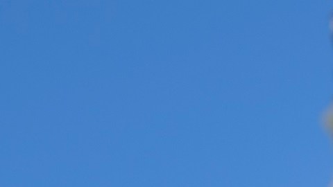 La congresista Linda Sánchez en campaña por el nuevo distrito congresional de Los Ángeles.