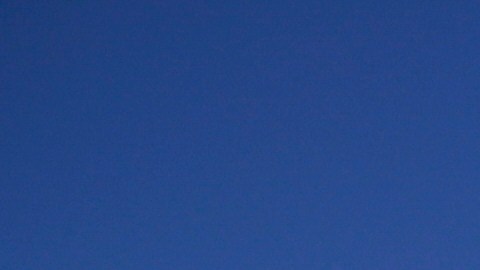 Los Ángeles Dodgers se encuentran actualmente trabajando en el Sprint Training preparando lo que será la temporada 2024 de las Grandes Ligas.