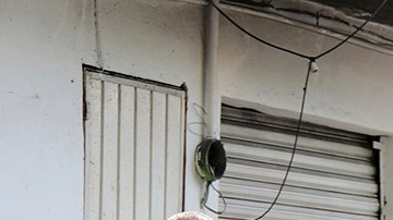 Violencia en México